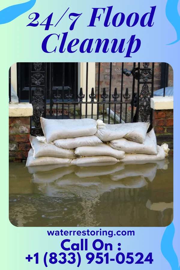 24/7 Flood Cleanup in Shenandoah, VA