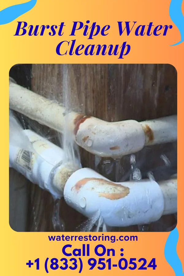 Burst Pipe Water Cleanup in Shenandoah, VA