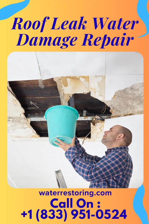 Roof Leak Water Damage Repair in Shenandoah, VA
