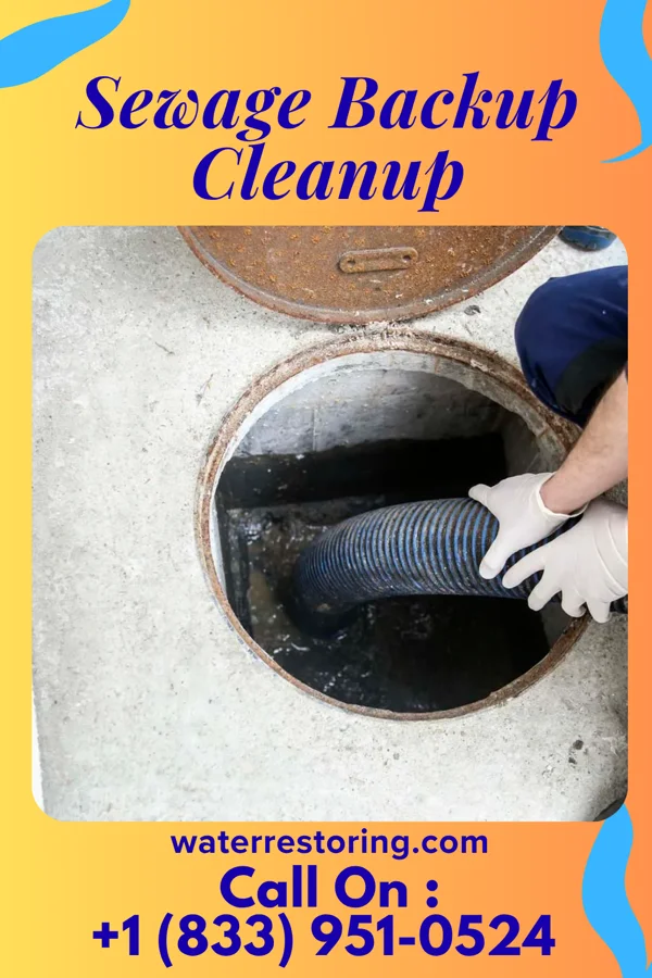 Sewage Backup Cleanup in Shenandoah, VA