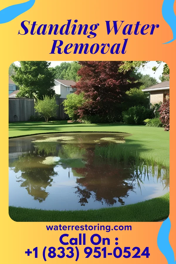 Standing Water Removal in Shenandoah, VA